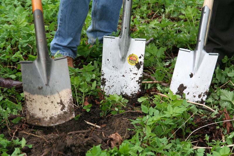 pepiniere-DALUIS-min_work-lawn-flower-tool-green-backyard-1103633-pxhere.com